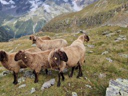Stubai 2023
